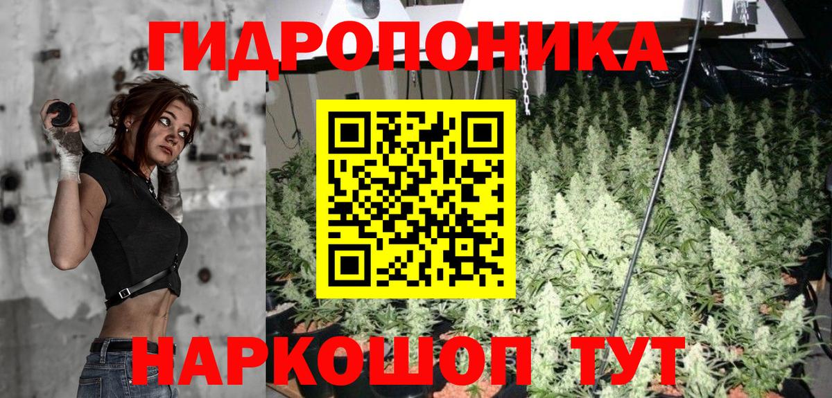 Конопля тримм  Каннабис Ganja  Клинцы  Бошки Шишки индика  Канабис Amnesia  Вход с VPN 